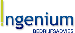 Ingenium bedrijfsadvies